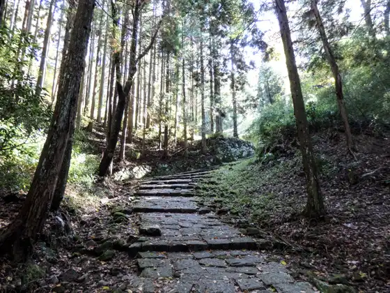 Iwamura Castle Ruins